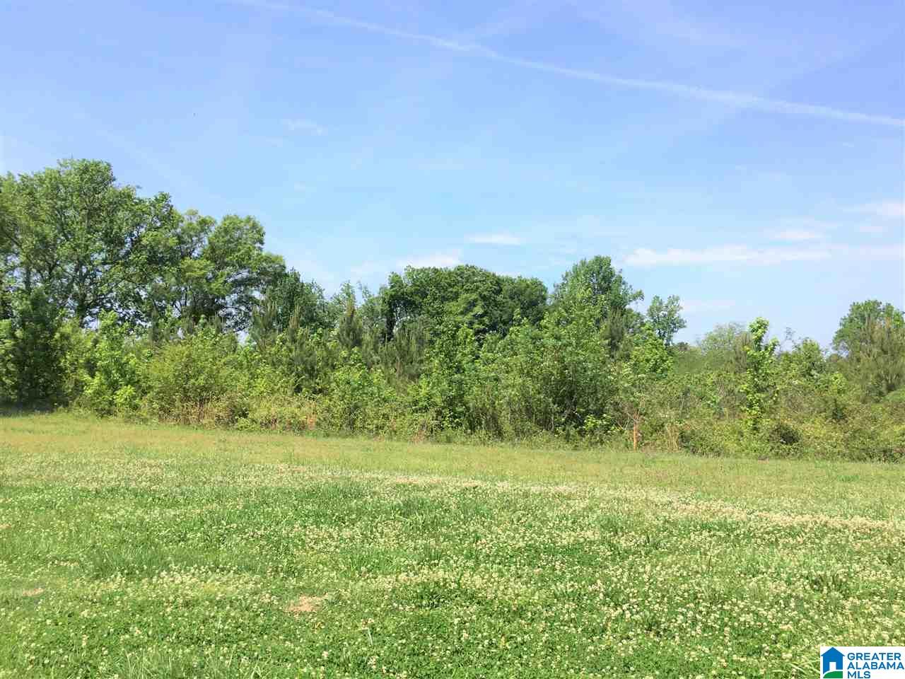 1691 Mountain Springs Road Ashville, AL 35953 - Photo 11 of 50