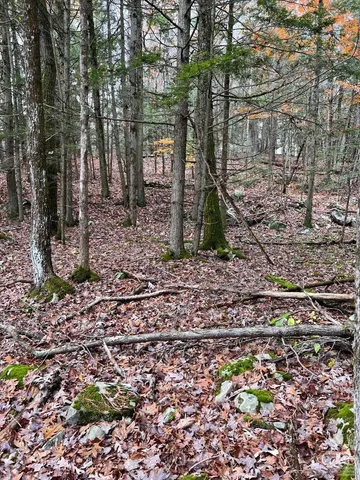 a view of outdoor space with trees