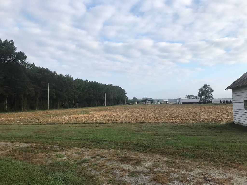 4041 Kelly Road New Church, VA 23415 - Photo 8 of 20
