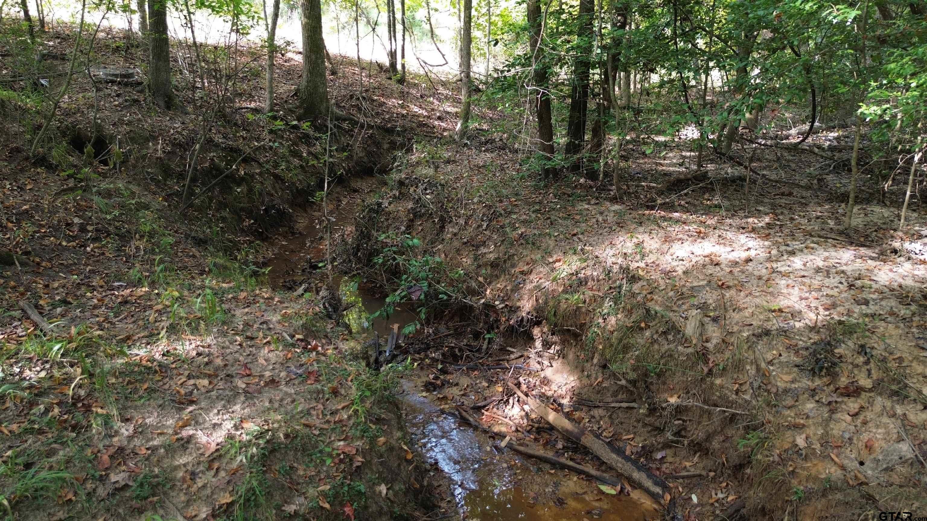 000 SOUTH Firetower Road Hallsville, TX 75650 - Photo 13 of 14 a view of forest