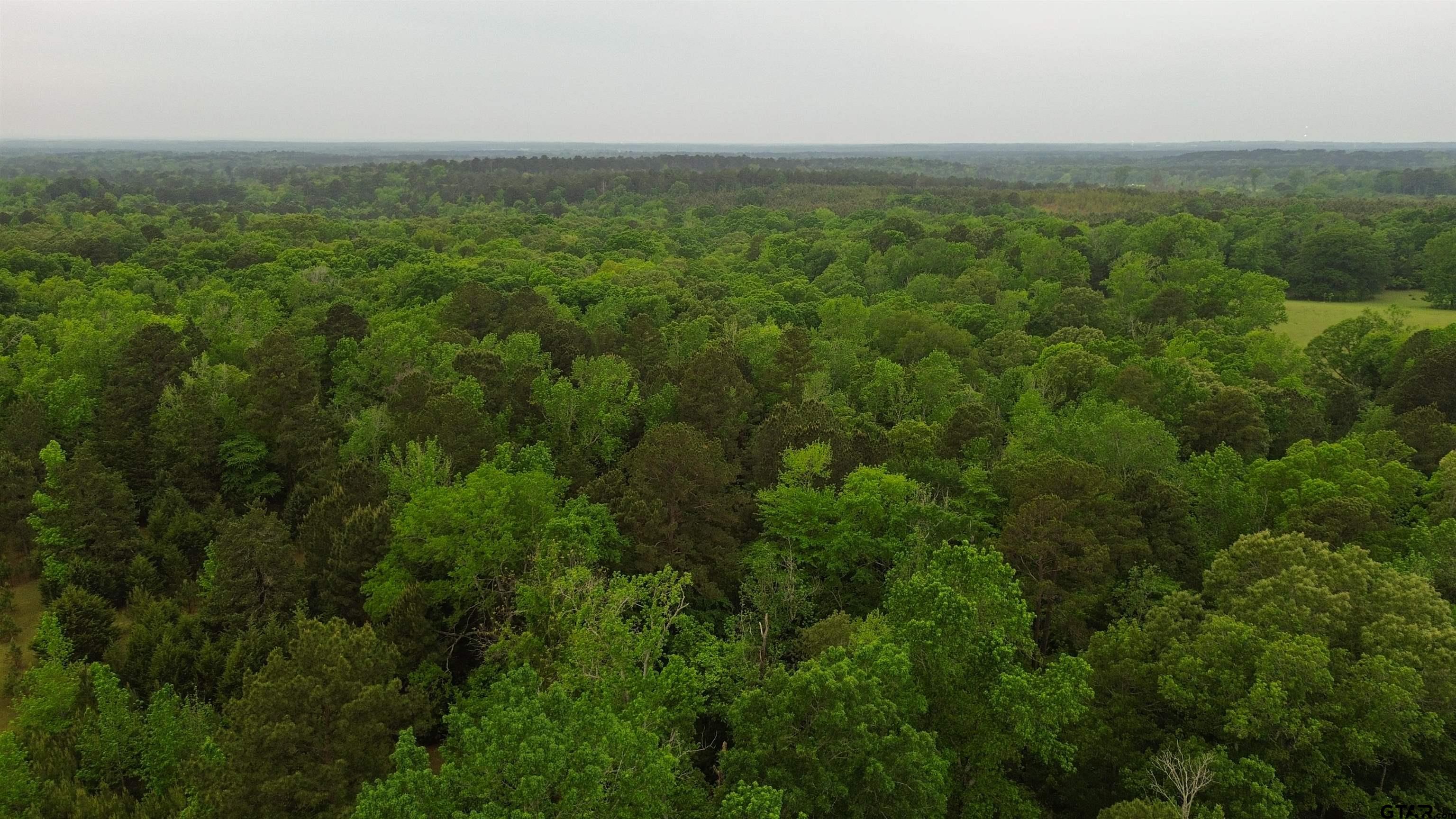 000 SOUTH Firetower Road Hallsville, TX 75650 - Photo 5 of 14 an aerial view of residential houses with outdoor space and trees
