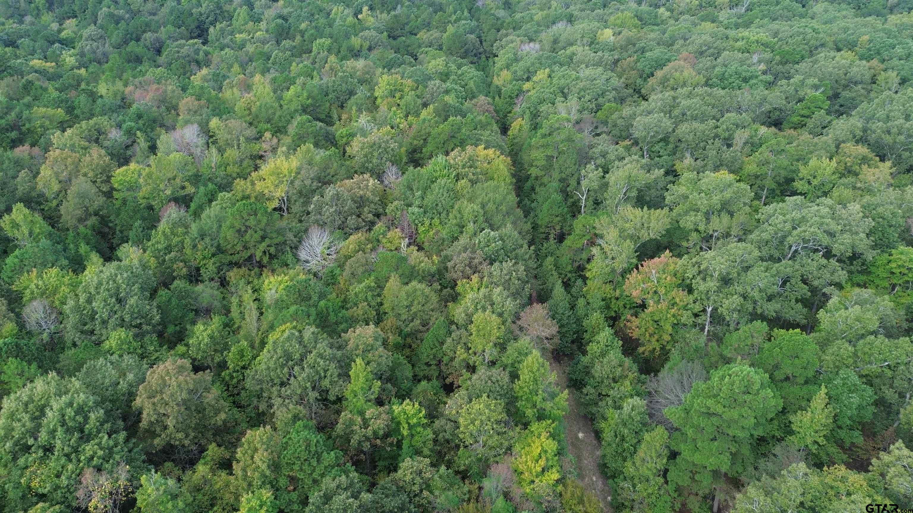 000 SOUTH Firetower Road Hallsville, TX 75650 - Photo 7 of 14 an aerial view of residential house with outdoor space and trees all around
