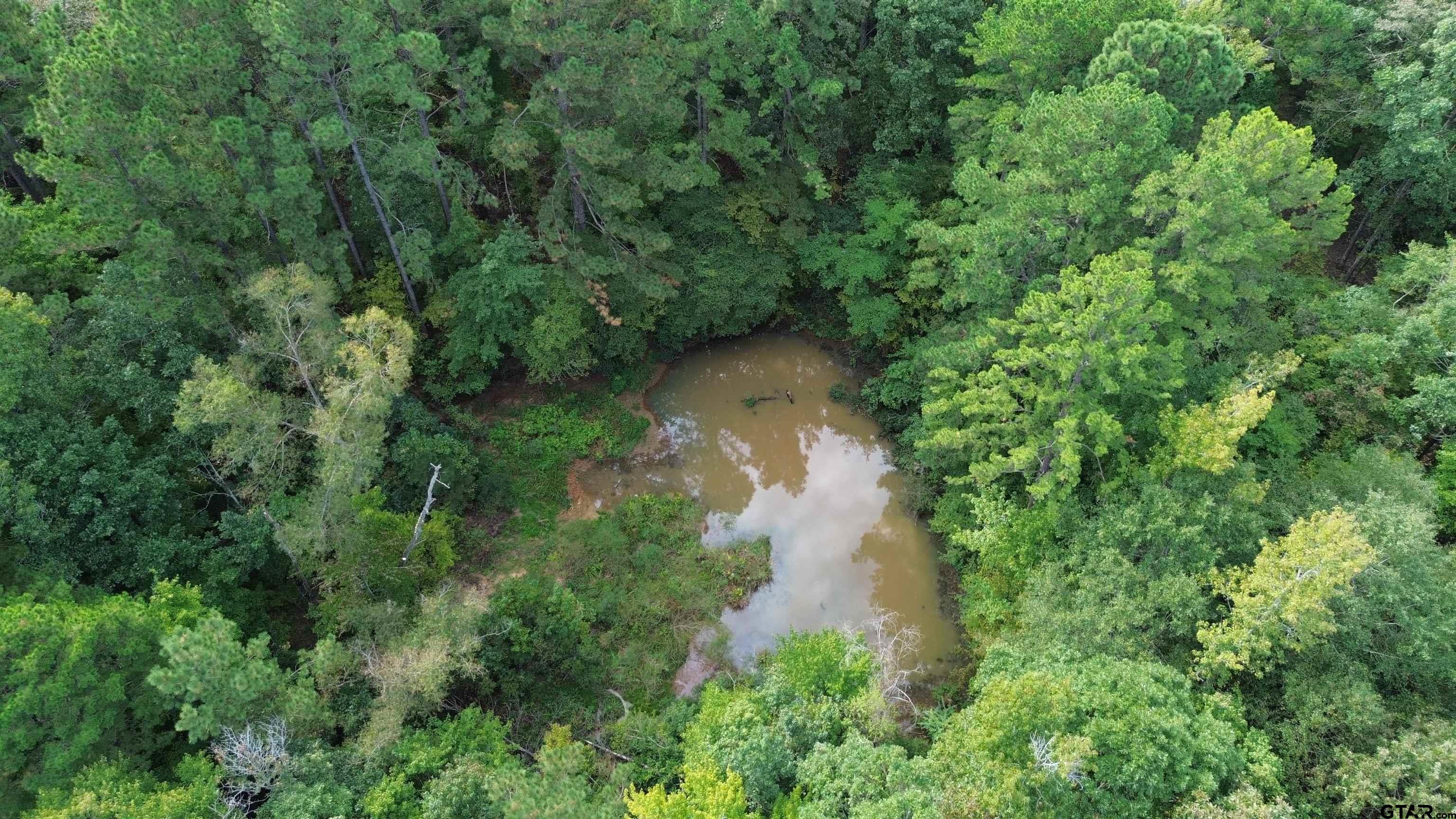 000 SOUTH Firetower Road Hallsville, TX 75650 - Photo 9 of 14 an aerial view of residential house with outdoor space and trees all around