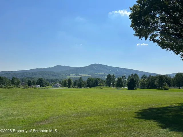 a view of a field with mountains in the background