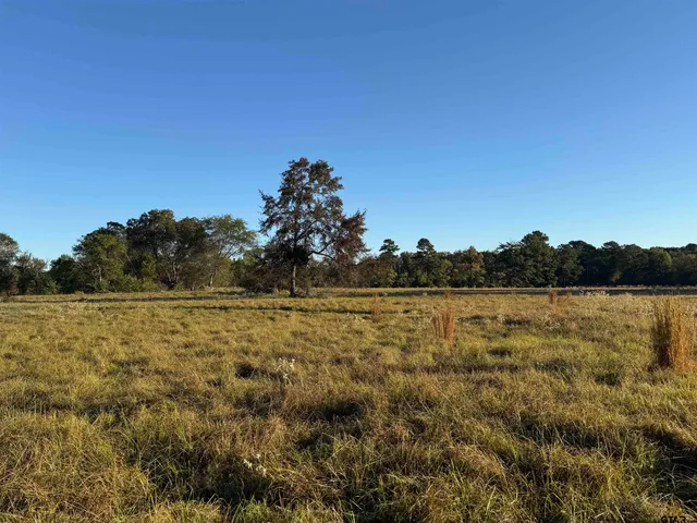 a view of lake and mountain