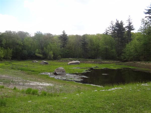 Lot 0 Bennett Road Hampden, MA 01036 - Photo 4 of 8 a view of a golf course with a lake