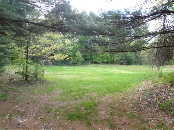 Lot 0 Bennett Road Hampden, MA 01036 - Photo 6 of 8 a view of a field with a tree