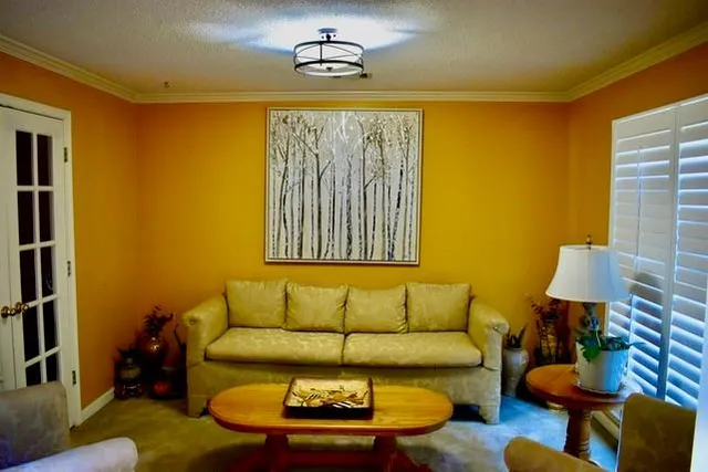 a living room with furniture and a lamp