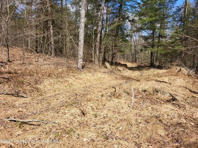 a view of a yard covered in snow