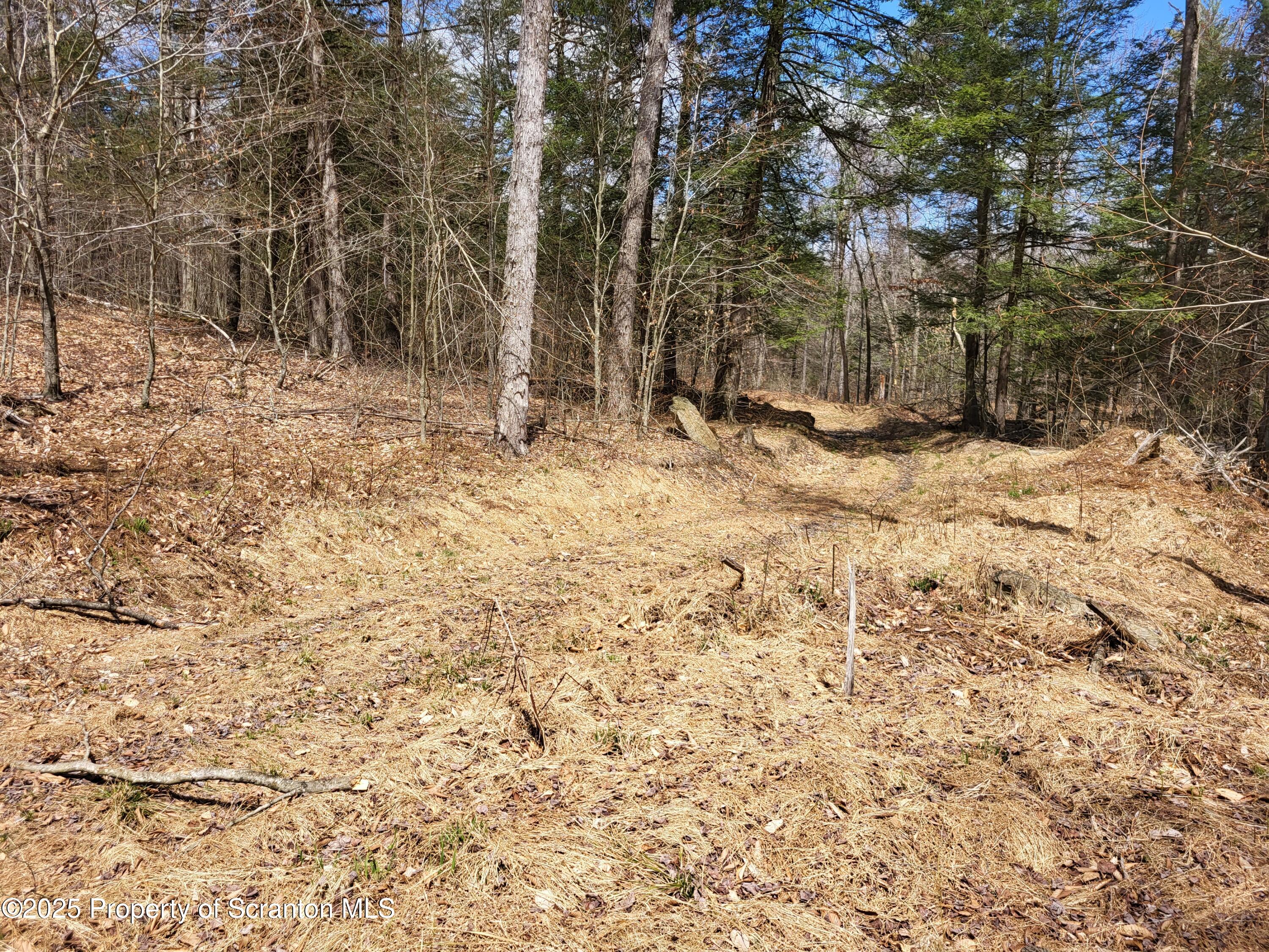 0 Heavey Road Friendsville, PA 18818 - Photo 11 of 18 a view of a yard covered in snow