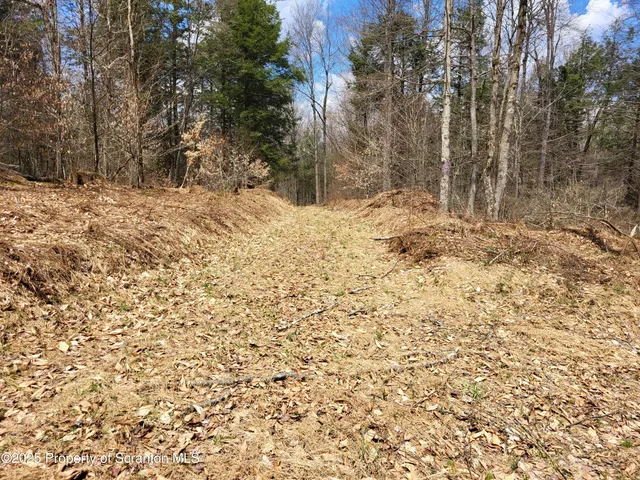a view of covered with snow