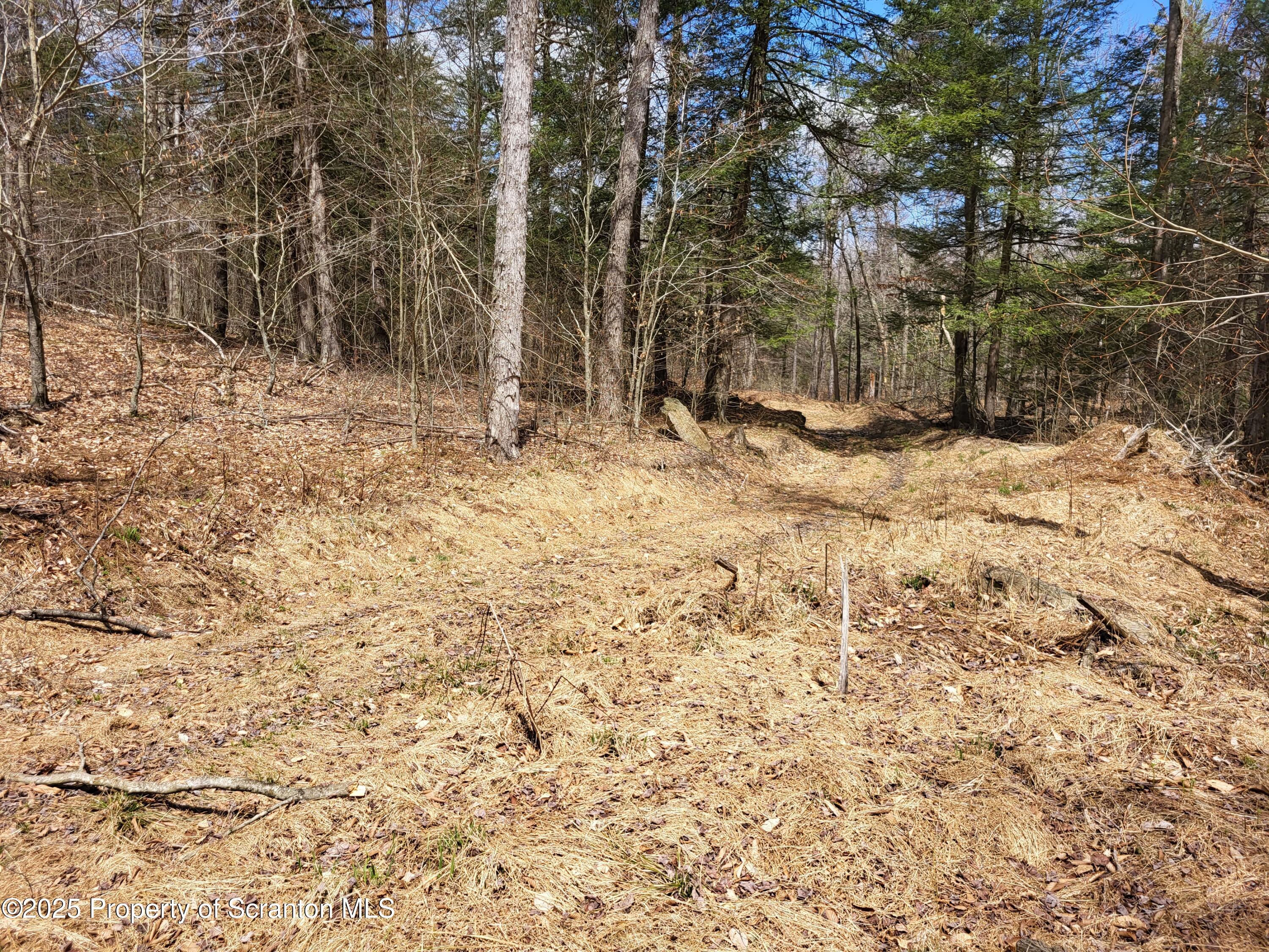 0 Heavey Road Friendsville, PA 18818 - Photo 13 of 18 a view of a yard covered in snow
