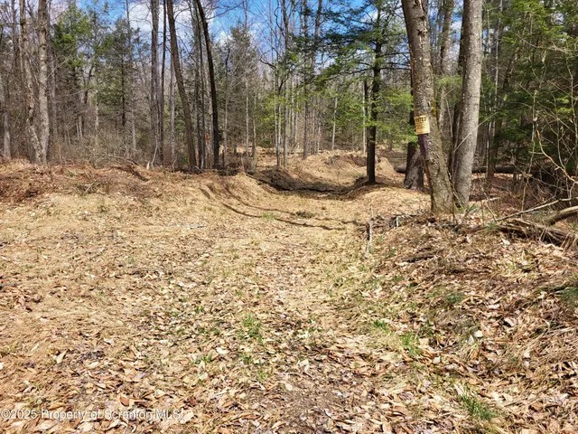 a view of outdoor space with trees