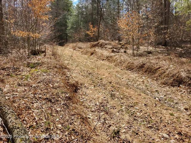 a view of a yard covered with snow