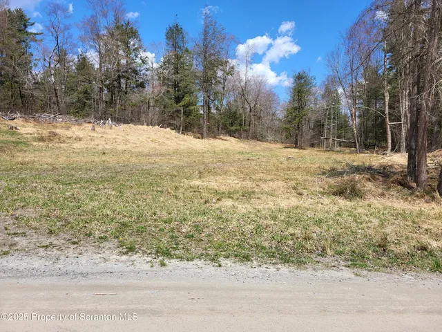 a view of a yard with snow on the road