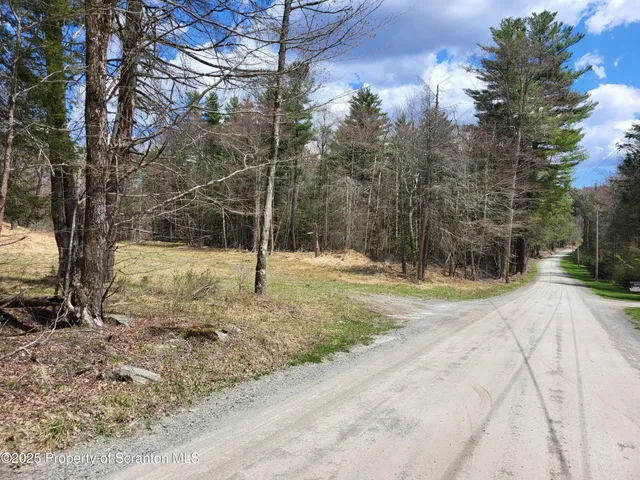 a view of a yard with trees