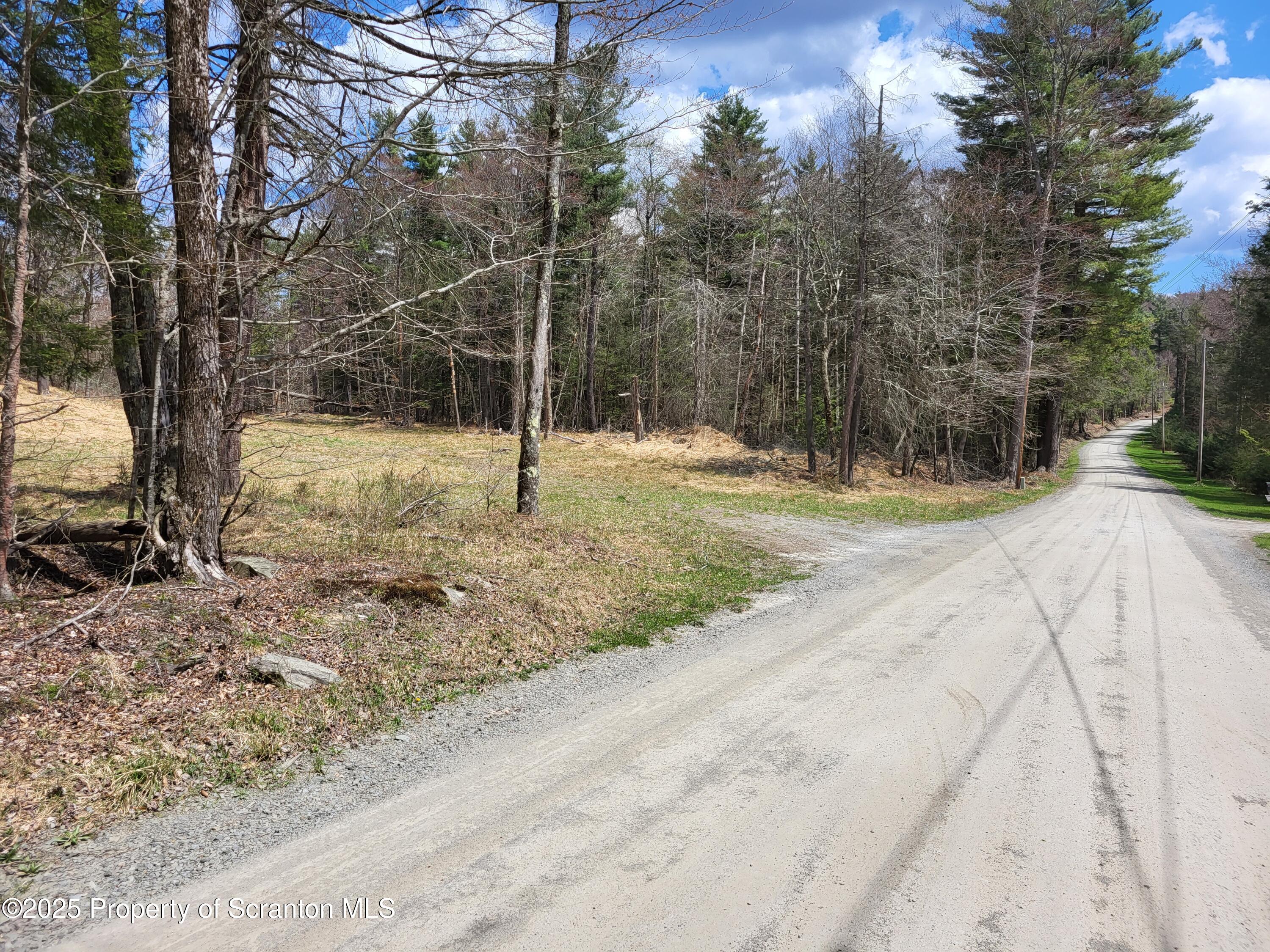 0 Heavey Road Friendsville, PA 18818 - Photo 3 of 18 a backyard of a house with lots of green space