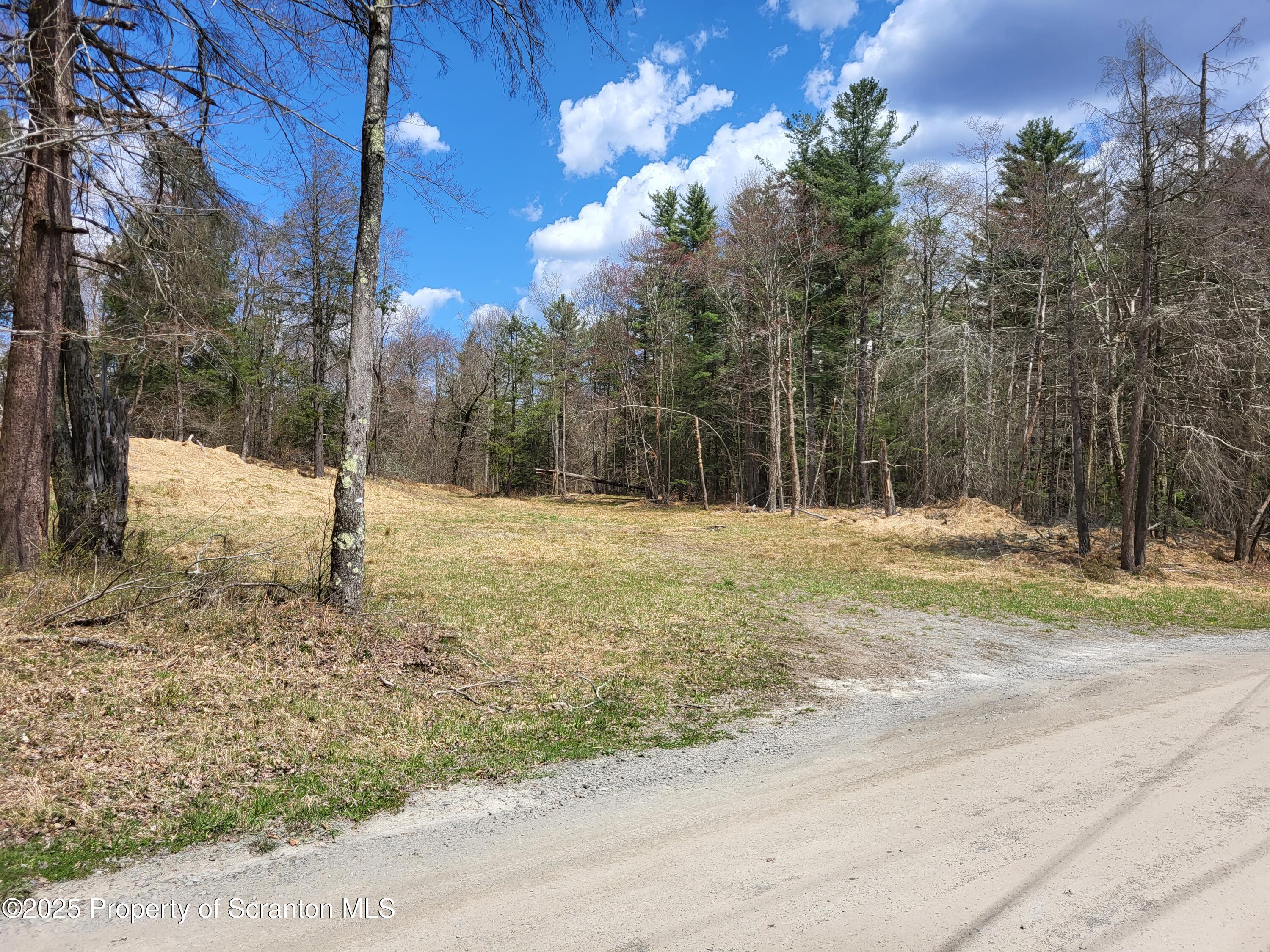 0 Heavey Road Friendsville, PA 18818 - Photo 4 of 18 a view of outdoor space with trees
