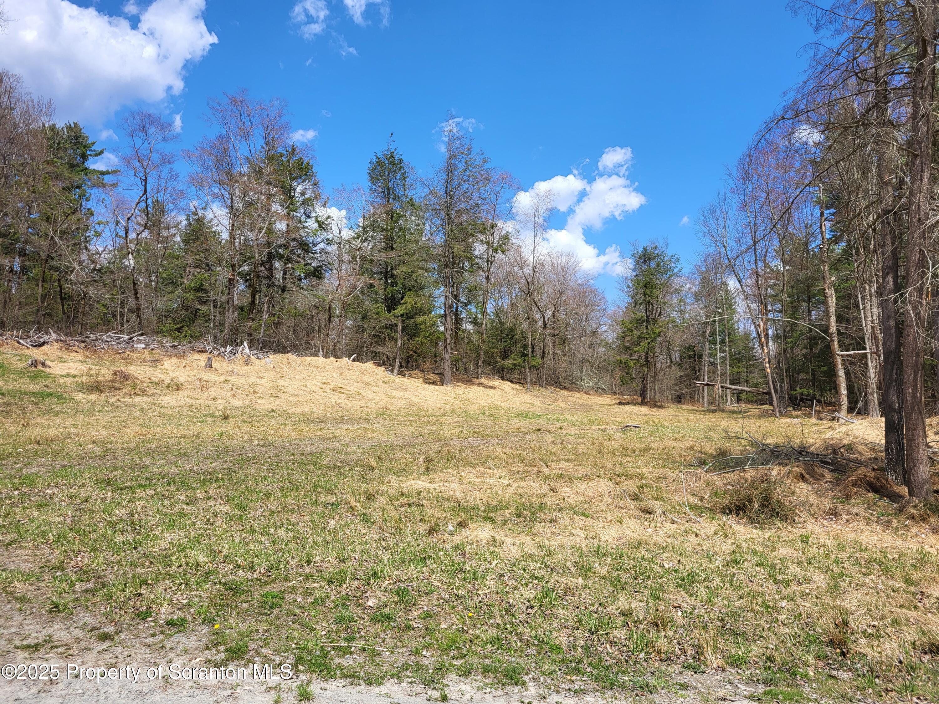 0 Heavey Road Friendsville, PA 18818 - Photo 5 of 18 a view of a yard with snow on the road