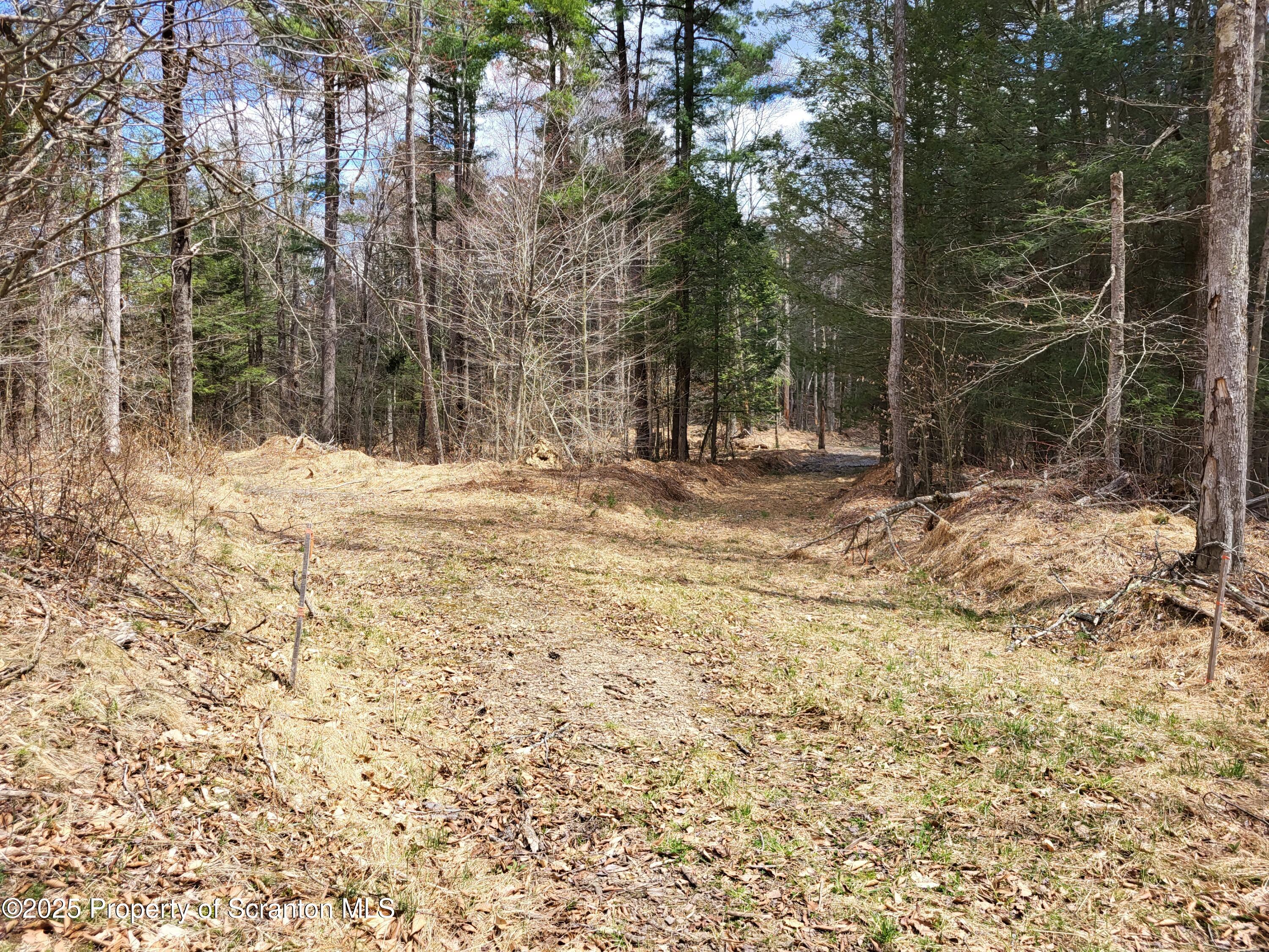0 Heavey Road Friendsville, PA 18818 - Photo 6 of 18 a view of a yard with large trees