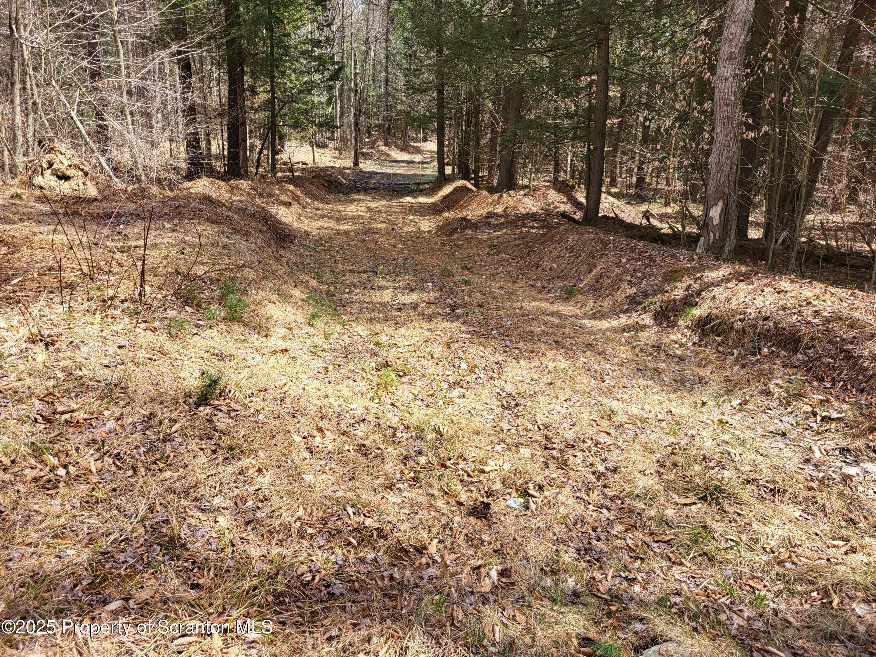 0 Heavey Road Friendsville, PA 18818 - Photo 7 of 18 a view of road with trees