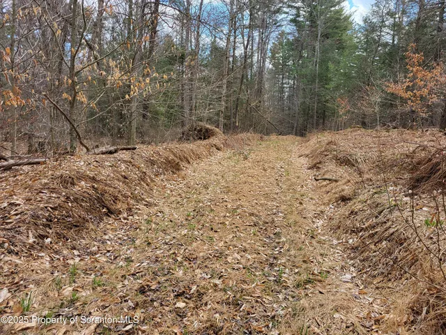a view of a yard covered in snow