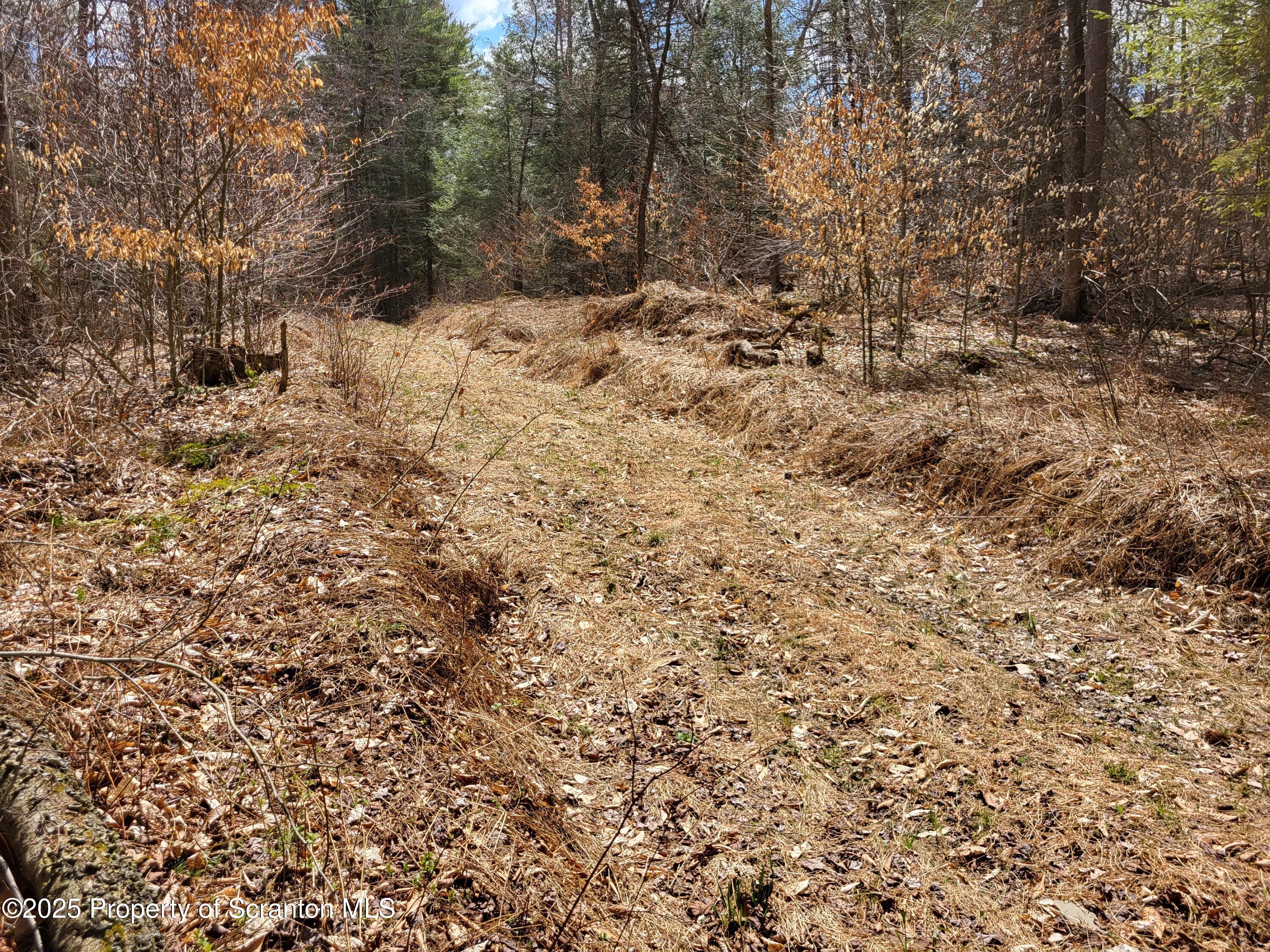 0 Heavey Road Friendsville, PA 18818 - Photo 9 of 18 a view of a yard with a tree