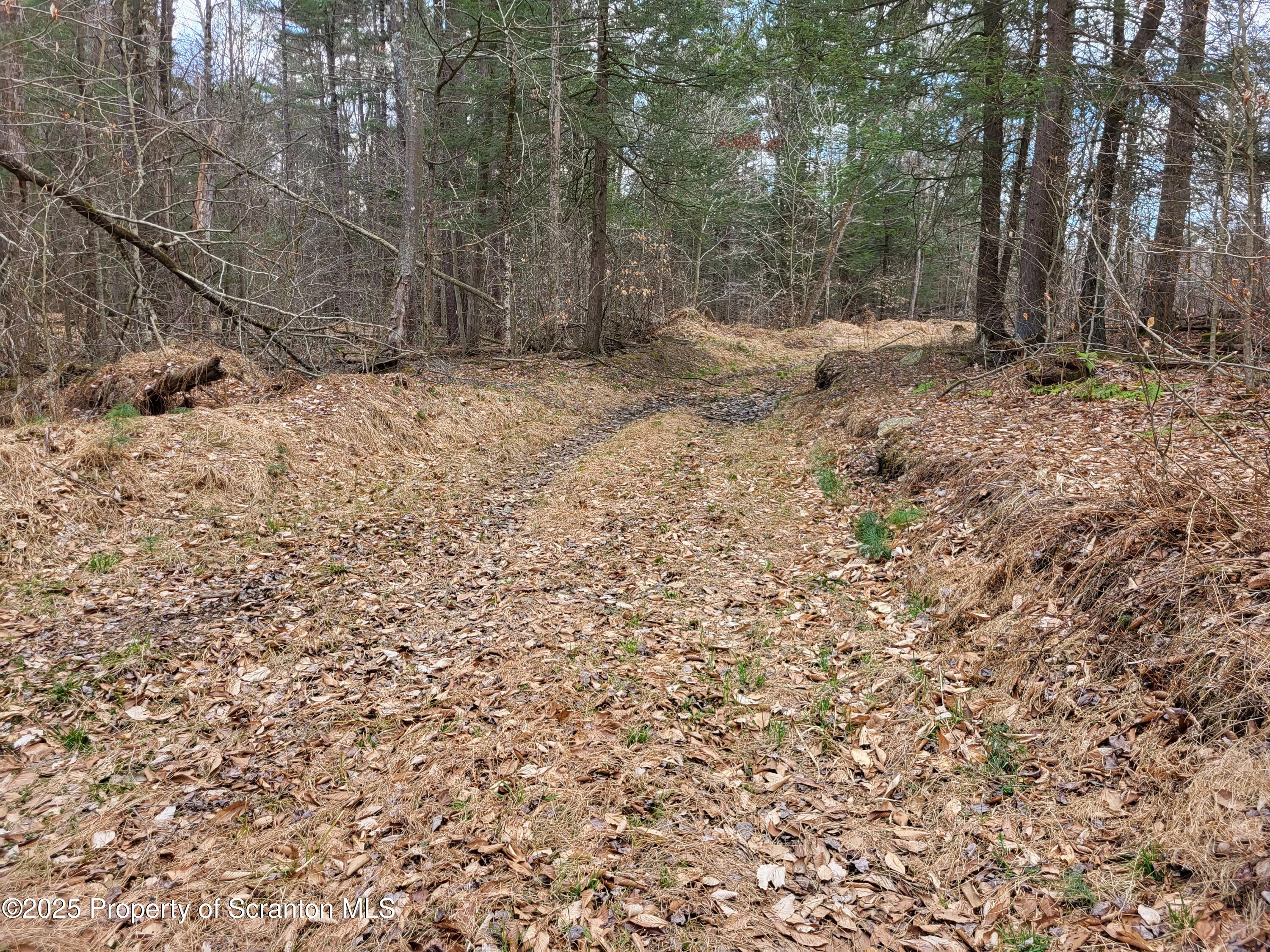 0 Heavey Road Friendsville, PA 18818 - Photo 10 of 18 a view of a yard with a tree