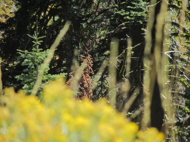 a view of ocean and mountains