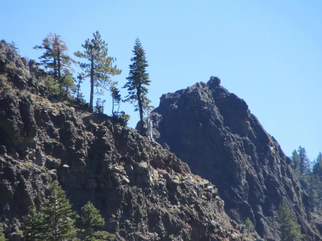 a view of a yard in front of the house