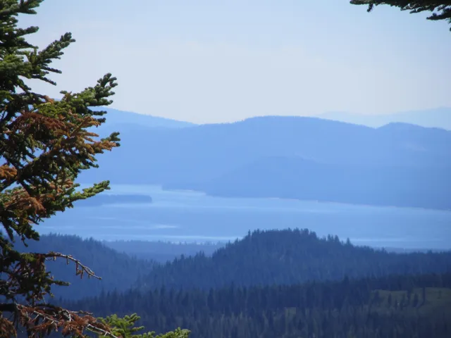 a view of a curtain with wooden floor