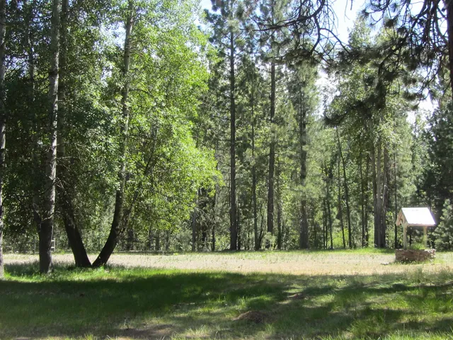 a view of swimming pool with a yard