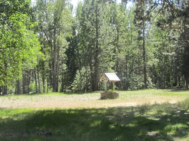 a view of a house with a garden