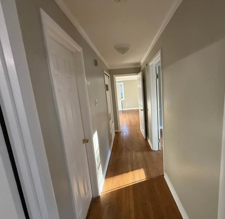 1232 South White Station Road Memphis, TN 38117 - Photo 5 of 21 a view of entryway