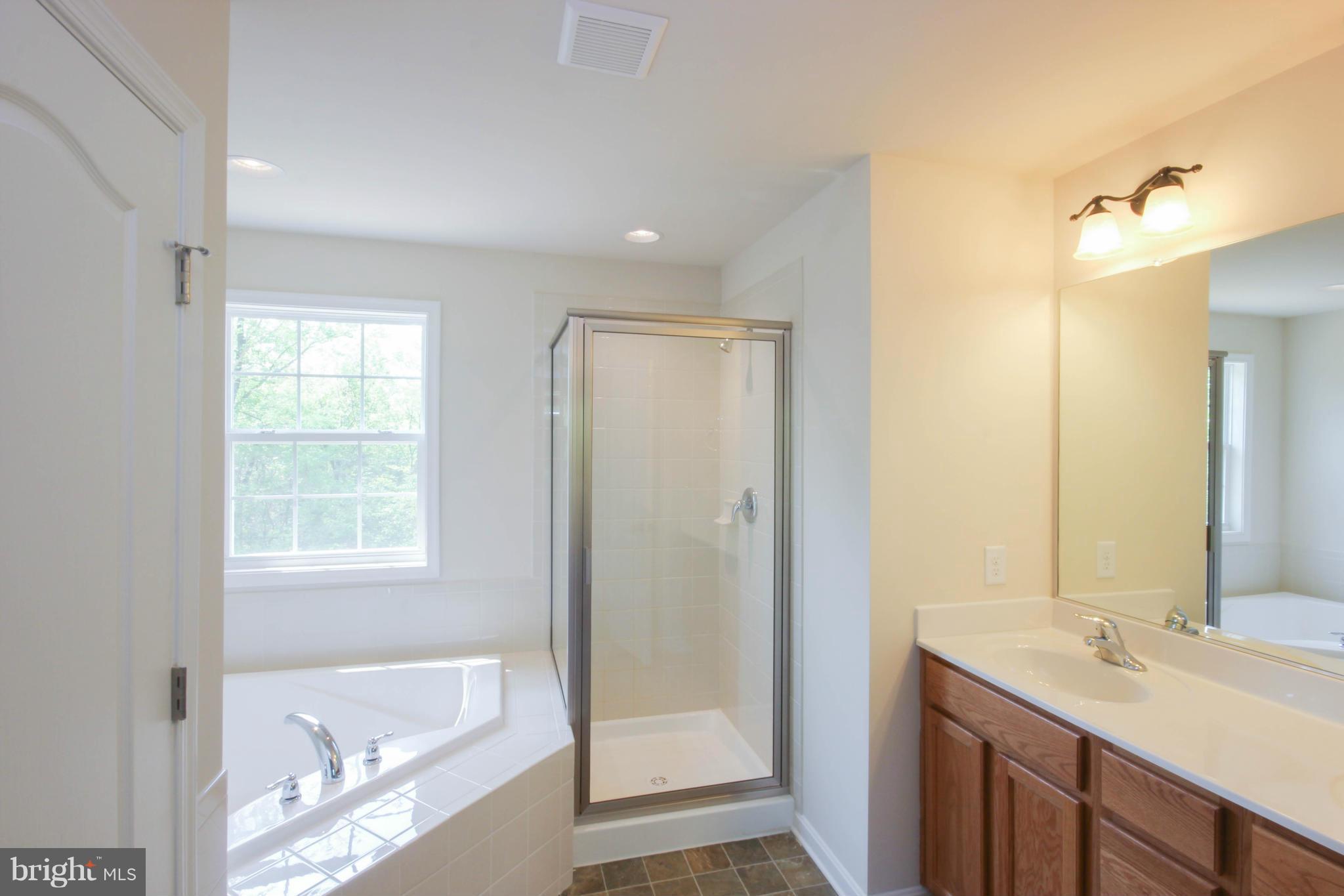 1024 Nestle Quarry Road Falling Waters, WV 25419 - Photo 6 of 7 Bath (Master)