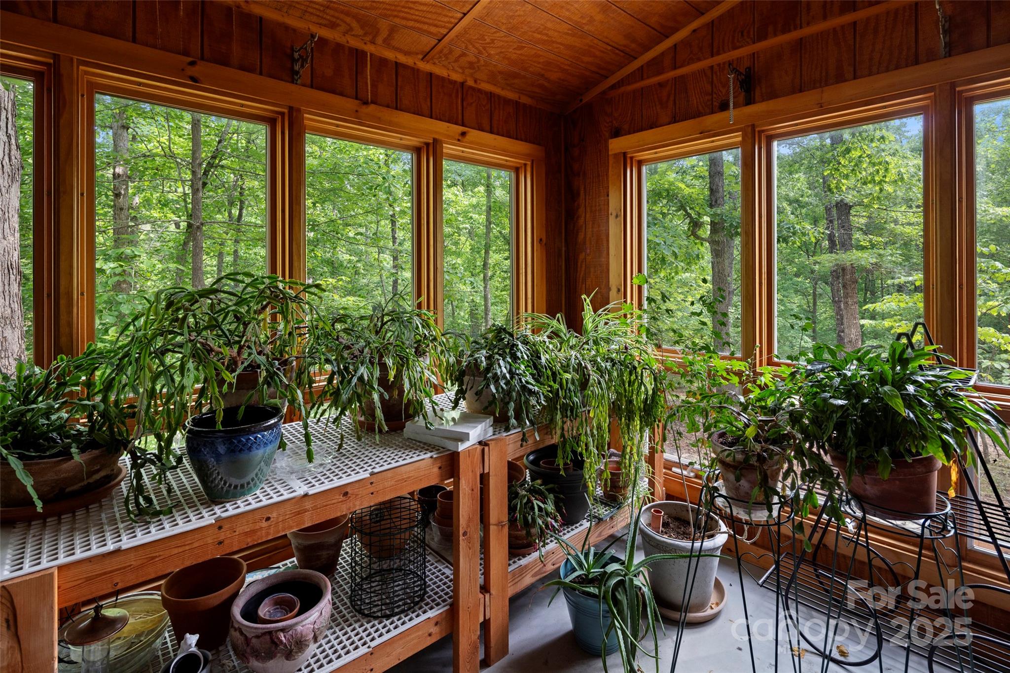 421 North Boundary Road Mill Spring, NC 28756 - Photo 37 of 43 a room with furniture and potted plants