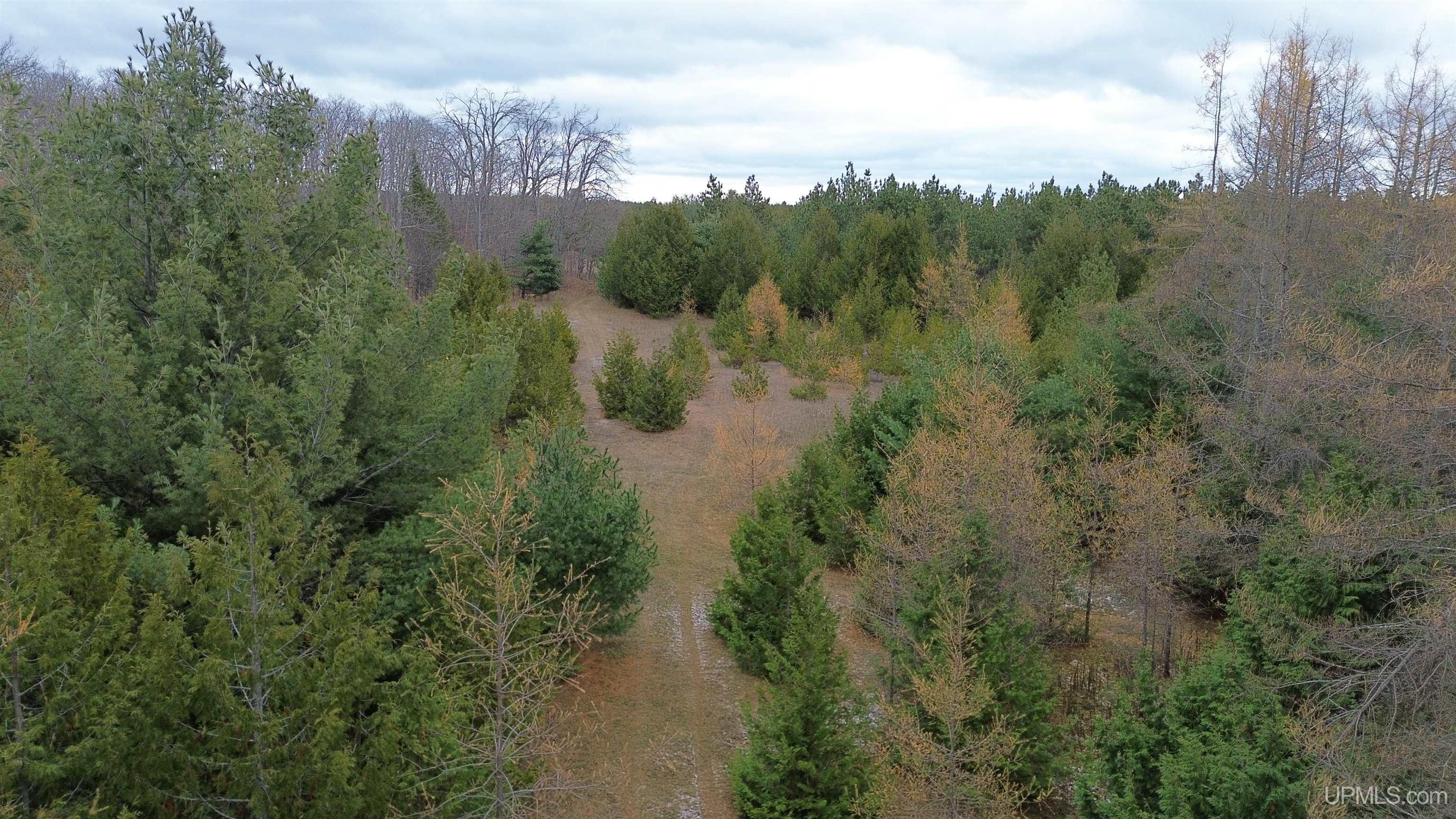 Tbd Tbd Appleford Road Moran, MI 49760 - Photo 24 of 24