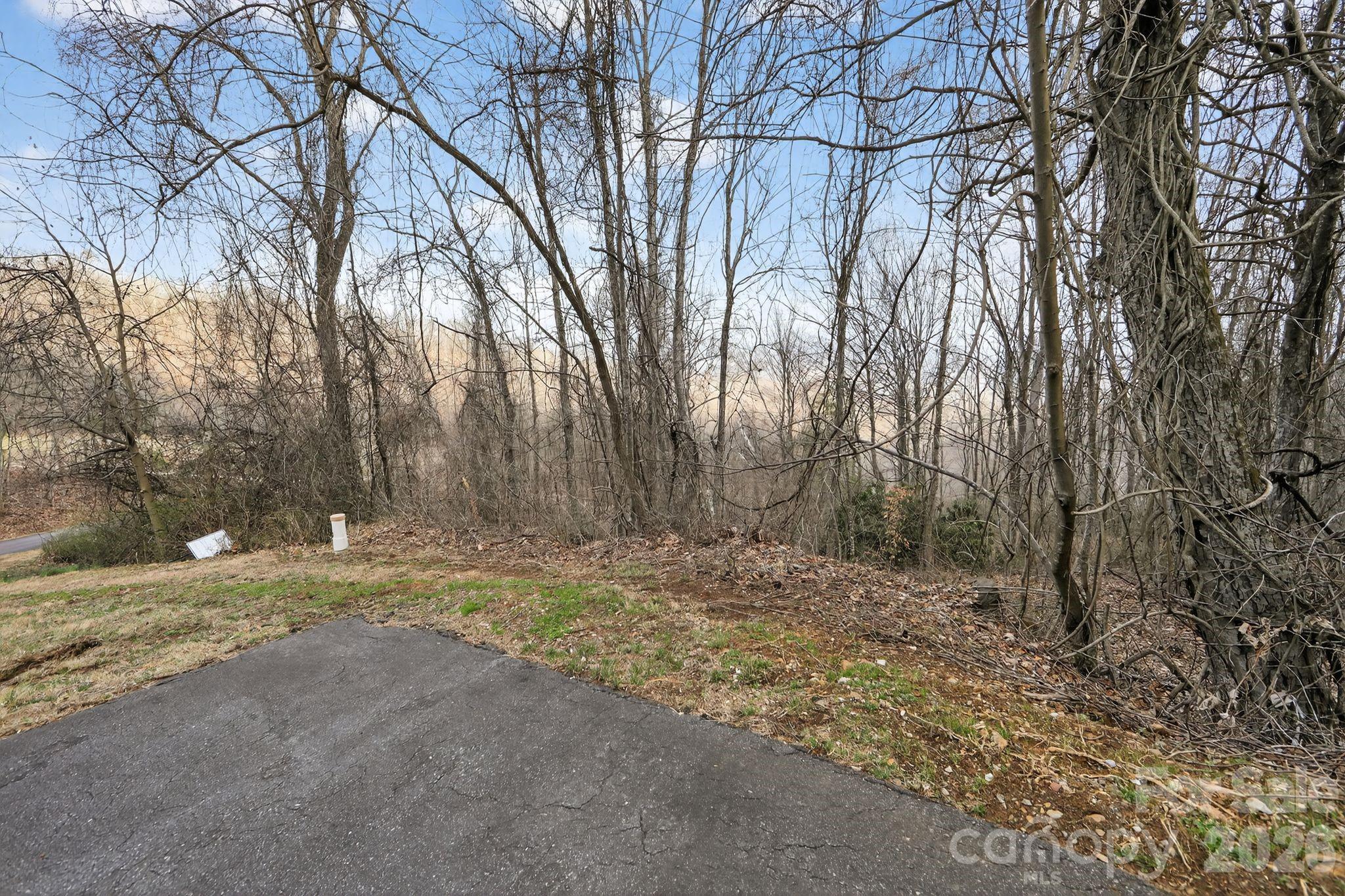 80 View Ridge Parkway Leicester, NC 28748 - Photo 7 of 15 Gallery Image 7