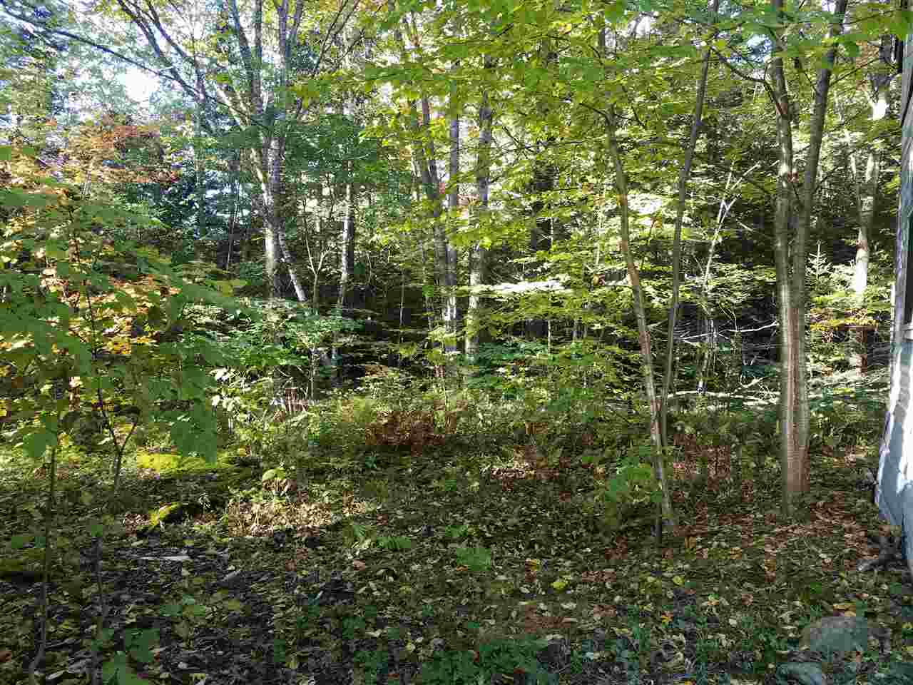 49 Pine Hill Road Warren, NH 03279 - Photo 4 of 6 Gallery Image 4