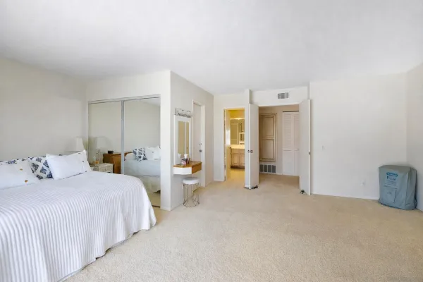 a bedroom with bed and walk in closet