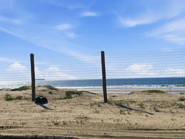 a view of a ocean