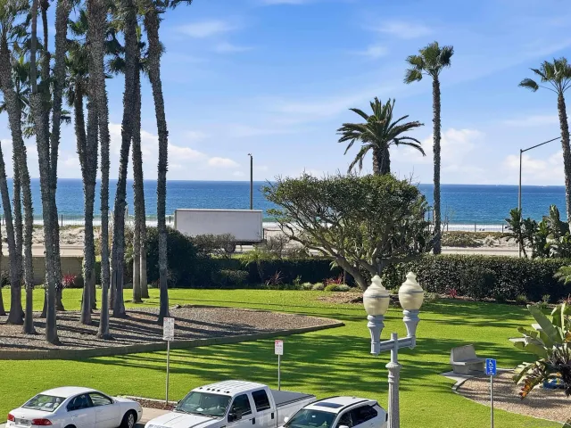 a view of a swimming pool with a garden and plants