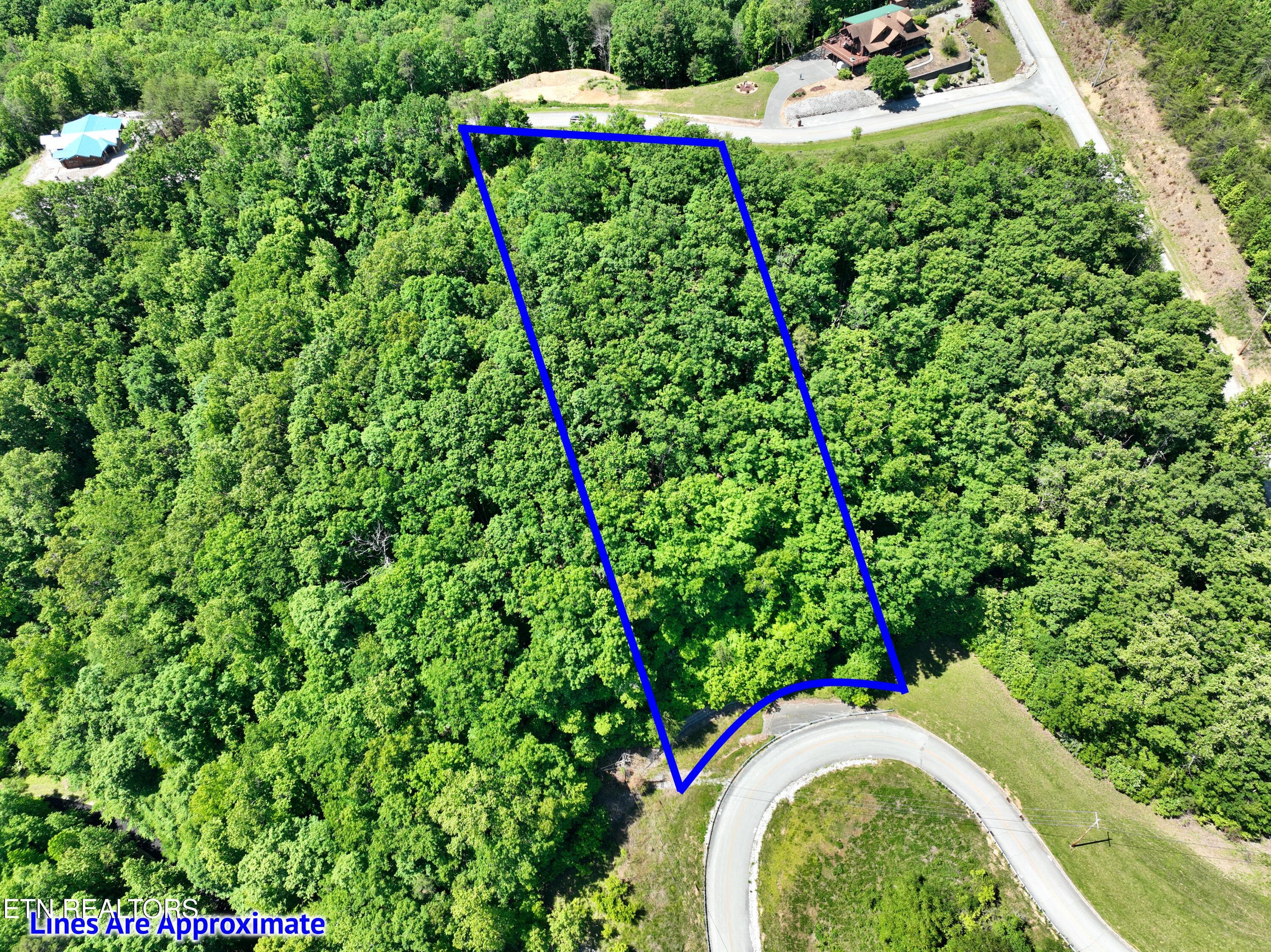 0 Flint Ridge Road Rockwood, TN 37854 - Photo 9 of 37 DJI_0599