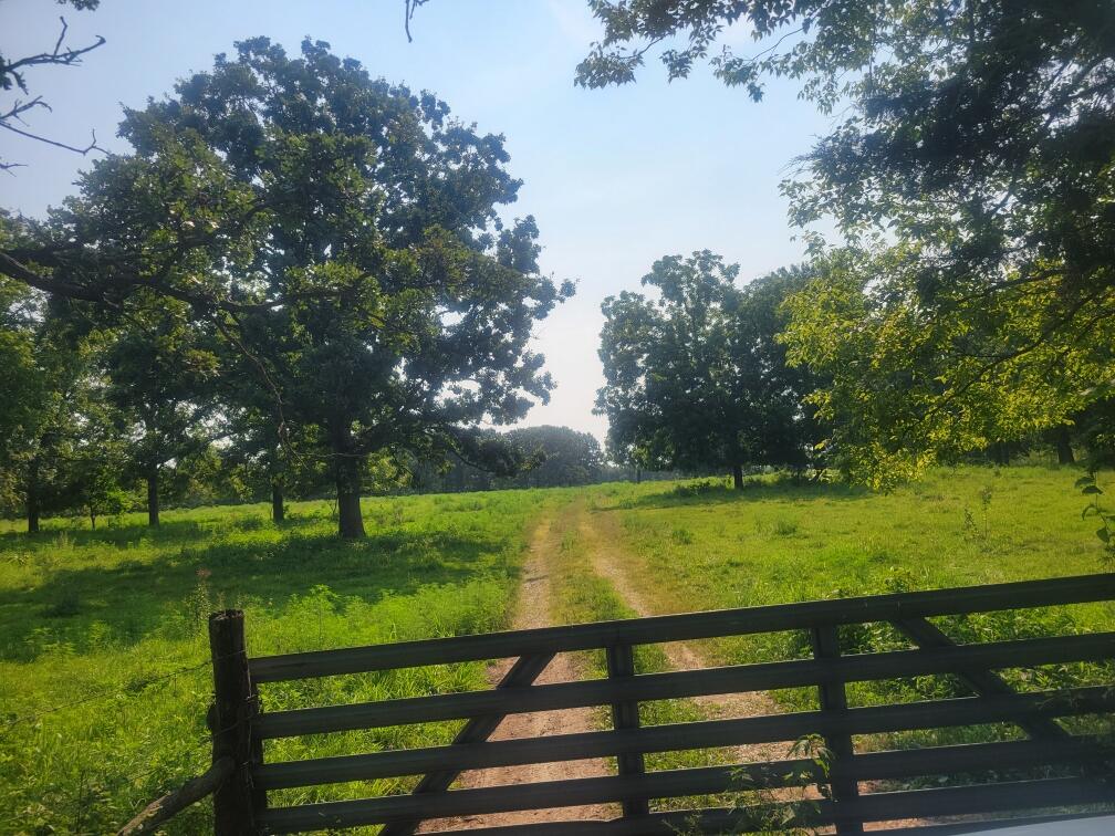 0 191st Road Deepwater, MO 64740 - Photo 1 of 1 77 ACRES NEAR POMME DE TERRE