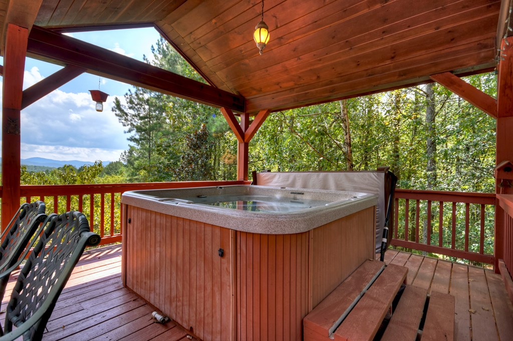 603 Red Berry Ridge Road Blue Ridge, GA 30513 - Photo 10 of 96 Gallery Image 10