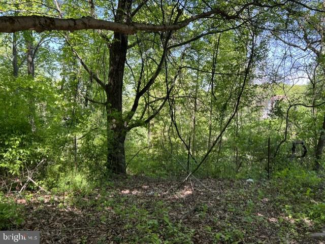 21410 Swope Road Boonsboro, MD 21713 - Photo 5 of 7 Parcel 1