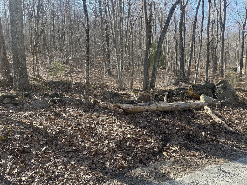 Lot 1 Woodhill Road Monson, MA 01057 - Photo 3 of 9