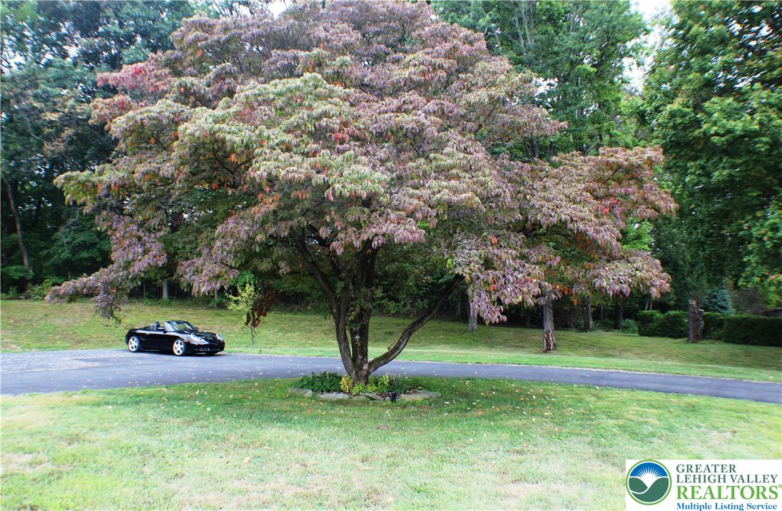 909 Wood Road Danielsville, PA 18038 - Photo 50 of 56 a view of a park with large trees