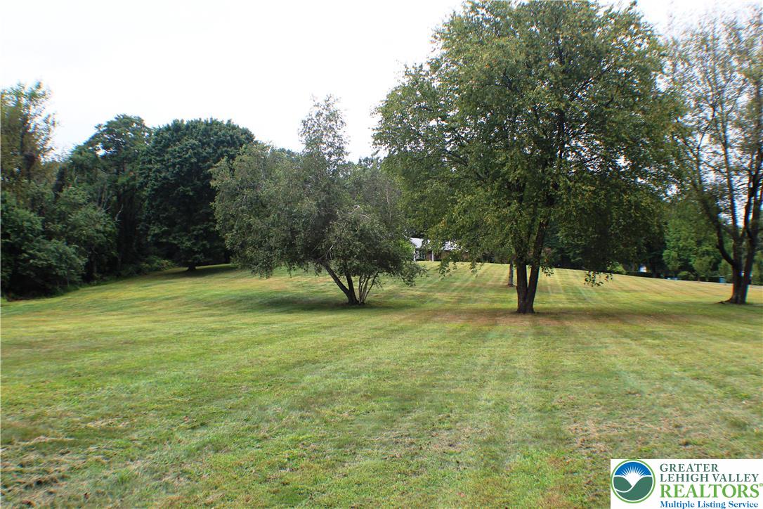 909 Wood Road Danielsville, PA 18038 - Photo 55 of 56 a view of a field with a tree