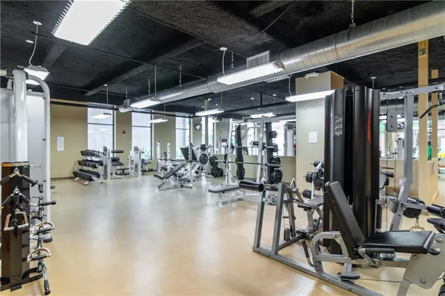 a garden view with a fountain